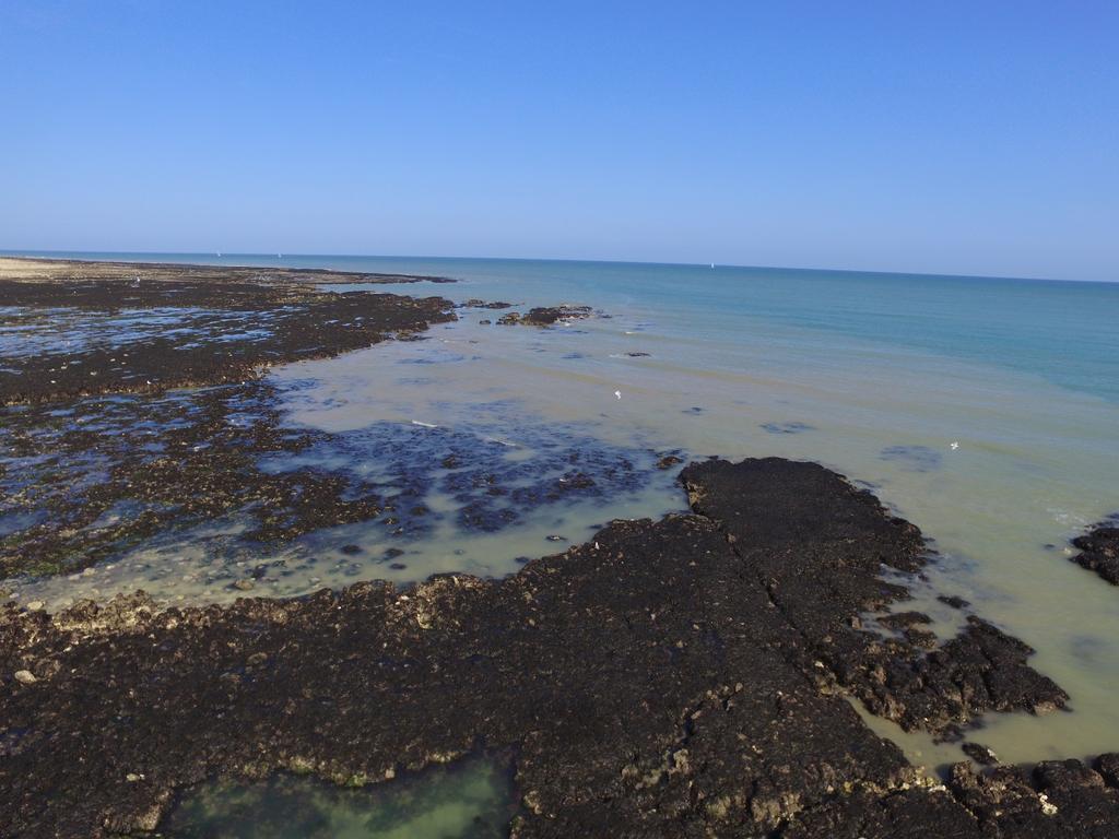 Chambres D'Hotes Le Grismoustier Veulettes-sur-Mer Εξωτερικό φωτογραφία